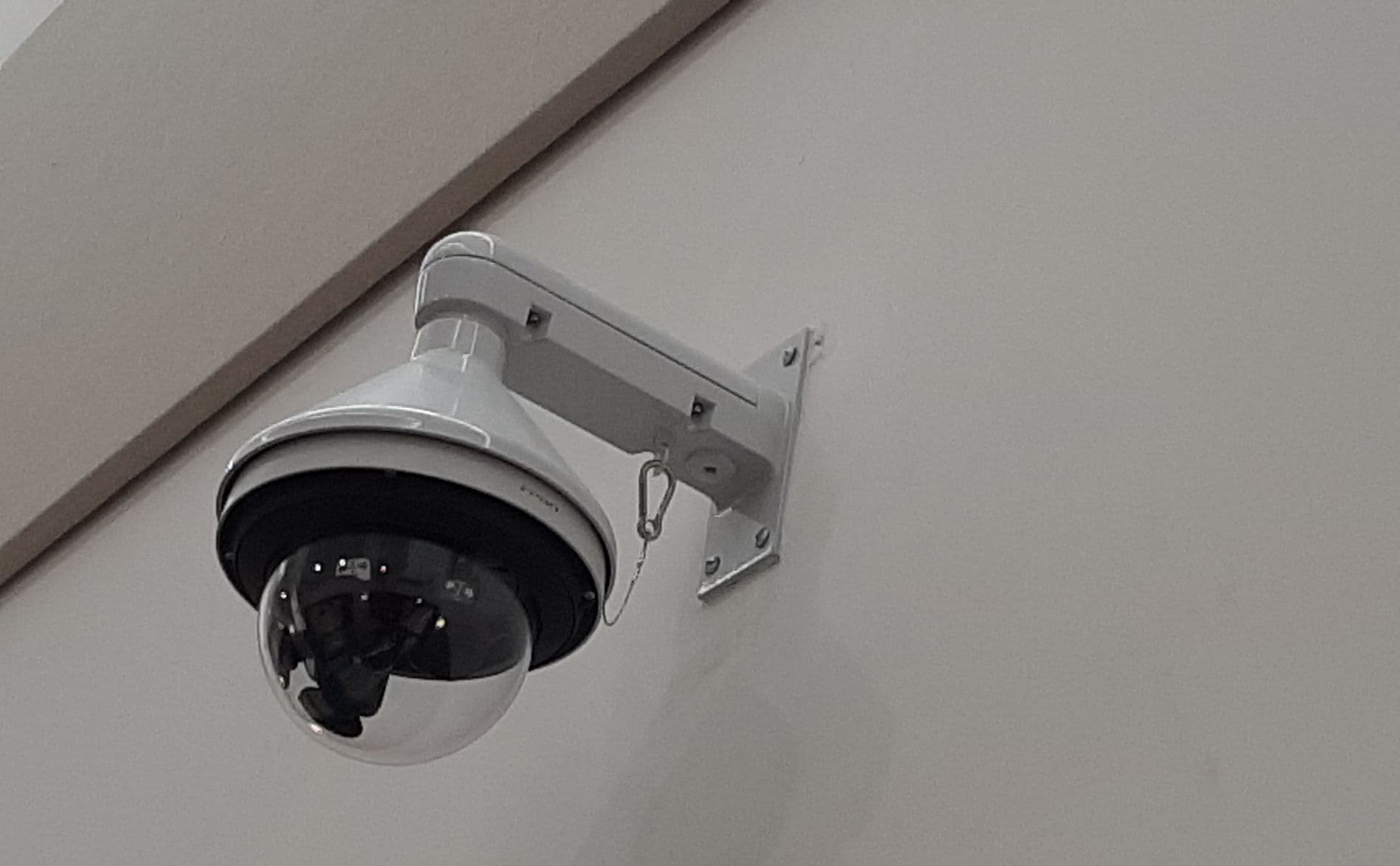 Lion's Pride Security Low Voltage & Alarm