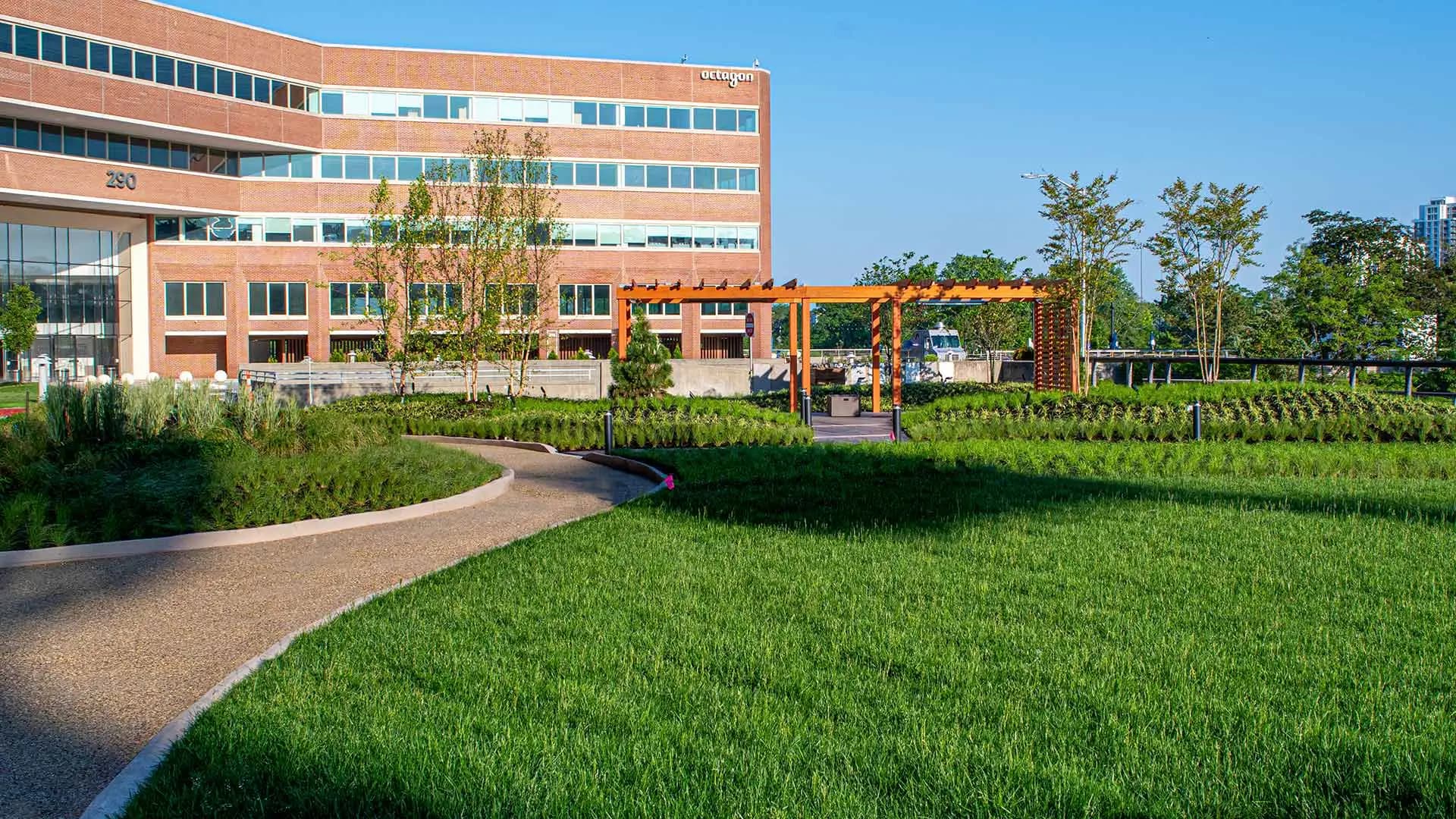 Ascape Landscape