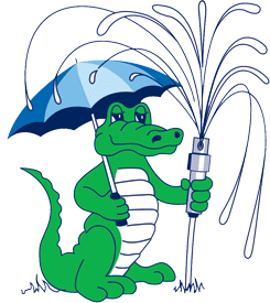 Gator Irrigation & Landscaping Inc