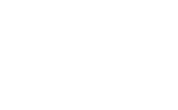 AOA Window & Door