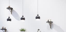 BrightLife Electric NV LLC