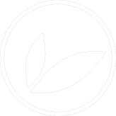 Beech Tree Woodworks