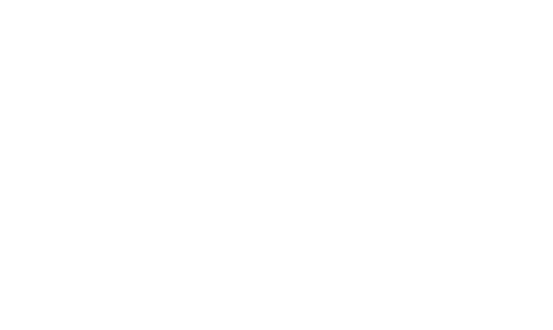 Wise Security Solutions