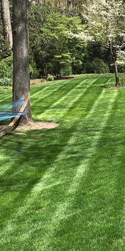 Sharp Landscaping