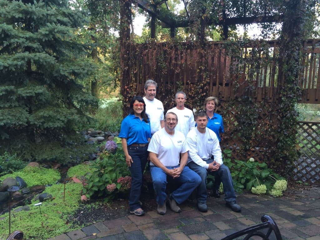 Lake Area Painting & Decorating