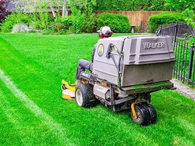 Person Mowing A Lawn