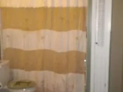 bathroom-remodeling 0