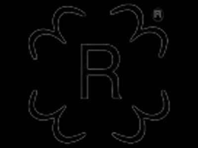 R Stamp