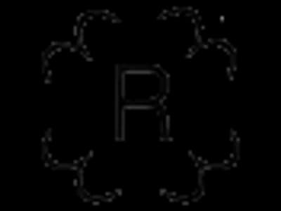 R Stamp