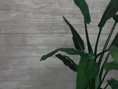 Venetian Art - Venetian Plaster Applicators Installers portfolio photo