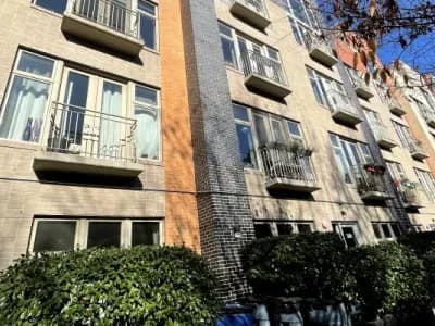 323 Greene Avenue | Zicklin Contracting | Portfolio