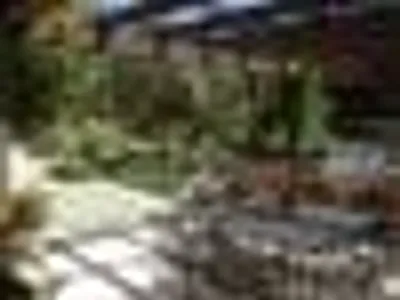 Landscape Contractor San Diego | Breceda Landscape Design & Build Extended Living Space San Diego
