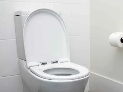 Toilet in the corner of a bathroom