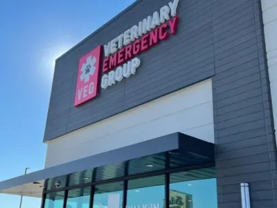 Veterinary Emergency Group