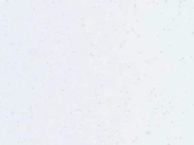 Decorative: Light Blue Paper Texture