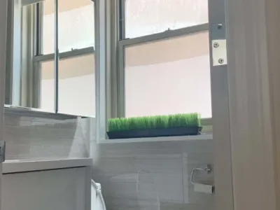 Precision Painting Plus residential house interior bathroom painting