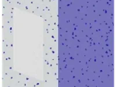 texture matching icon