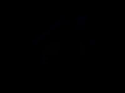 Animated house icon