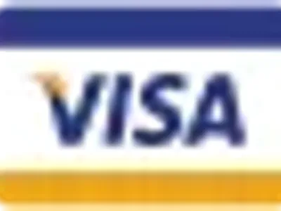 Visa payment icon