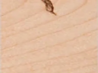 Maple Natural