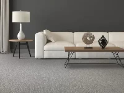 Image depicting the Service Carpet Flooring