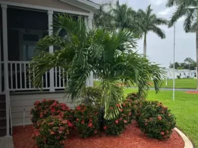 hero front yard grass landscaping trees palm bay fl2