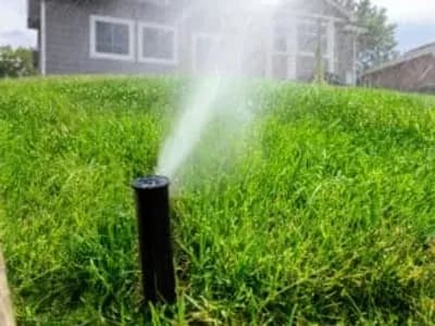 Irrigation system turned on in a residential backyard