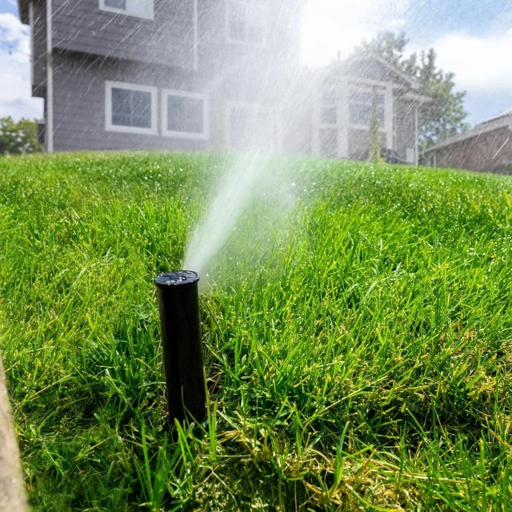 Irrigation system turned on in a residential backyard