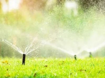 Leafy Landscapes Irrigation Service