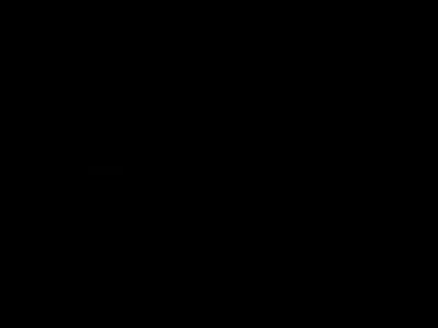 Power Pro Elite Plus Logo