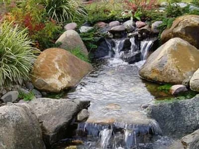 P1010587