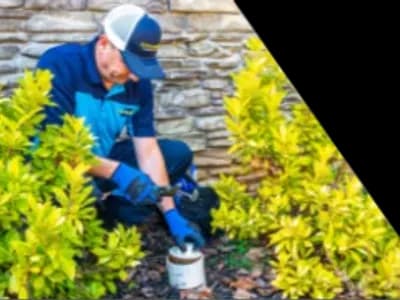 Z PLUMBERS worker kneeling between bushes checking pipe