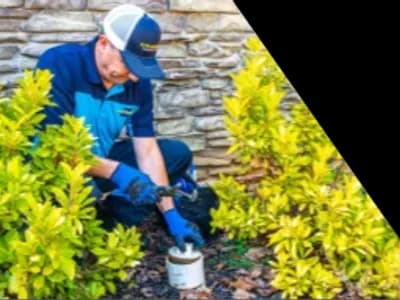 Z PLUMBERS worker kneeling between bushes checking pipe