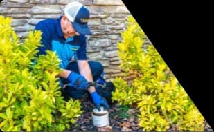 Z PLUMBERS worker kneeling between bushes checking pipe