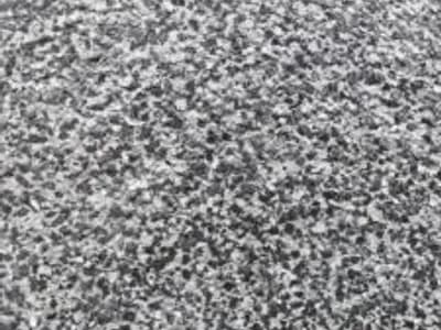 Garage Floor Coatings: Is Epoxy Worth It in Humid Charleston Weather?