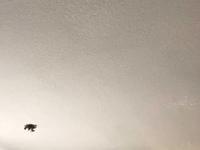 Drywall Water Damage Image 3