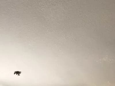 Drywall Water Damage Image 3