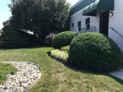 Pruned Bushes in Richmond VA