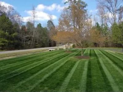 Freshly mowed lawn
