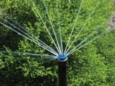 Water Sprinkler