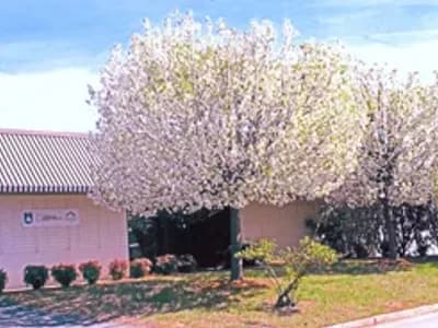 picture of All Seasons Window & Door Co. Charlotte NC - All Seasons Window & Door Co. 2821 Rosemont St, Charlotte, NC 28208 (704) 399-4244