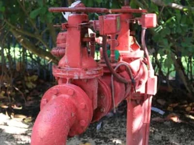 backflow device