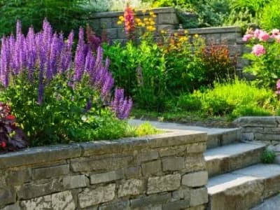 flowers wall landscaping