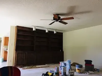 Professional Painter