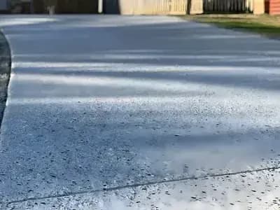 A black and white dog walks past a freshly painted exterior completed by Paint‑Pro’s.