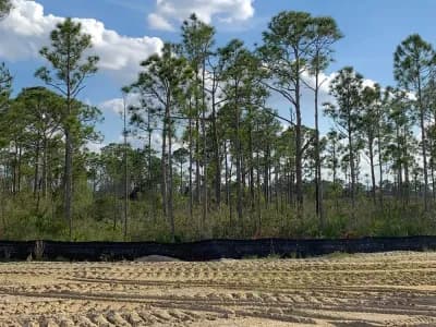 Land Clearing Service - Clarksville, Nashville, Middle Tennessee