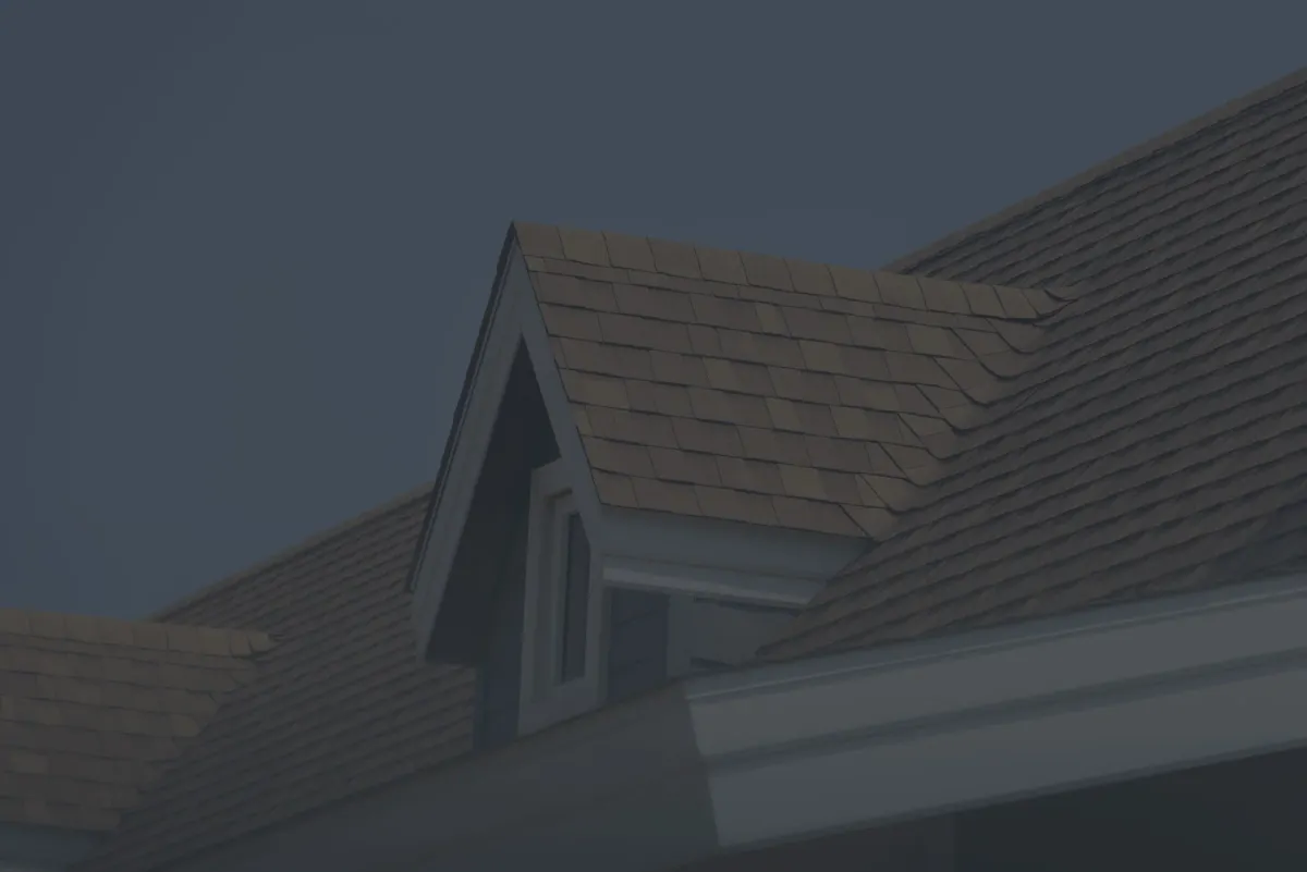 roof-back-2