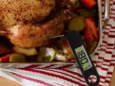 Whole roasted chicken in roasting pan with vegetables and digital thermometer reading 180 degrees