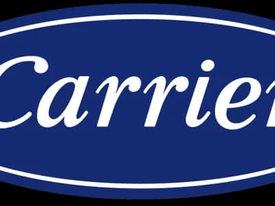 Carrier