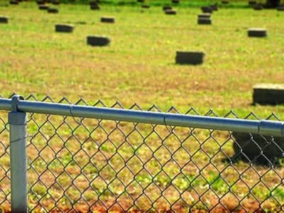 Farm: Chainlink Fence